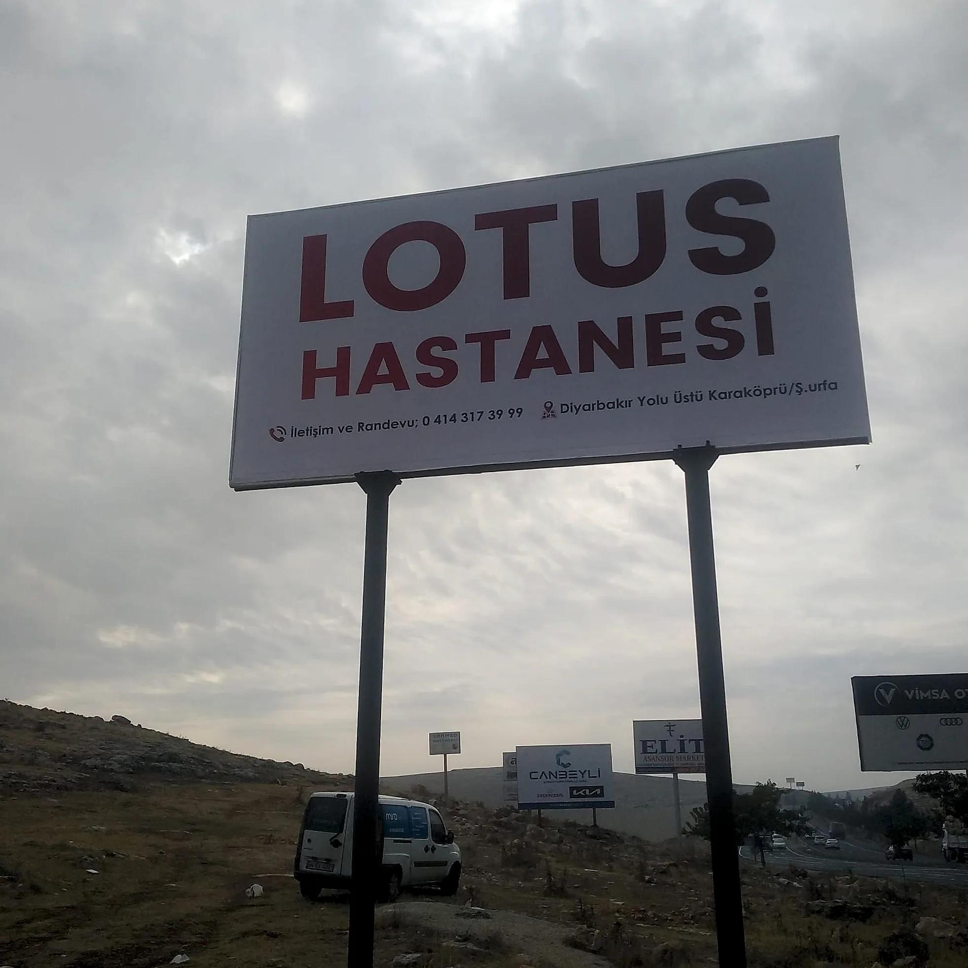 Lotus Totem Germe Vinil.jpeg