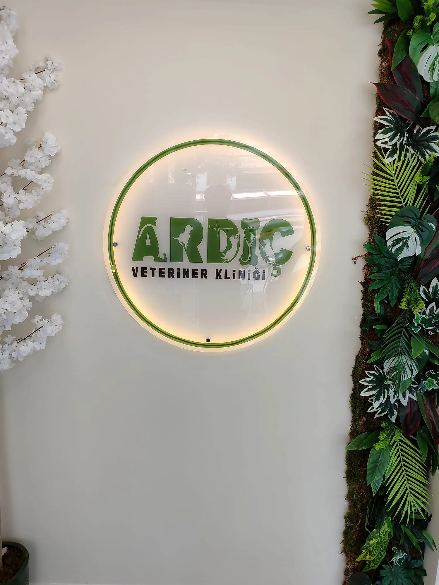 Ardıç Veteriner Kliniği — Light Box