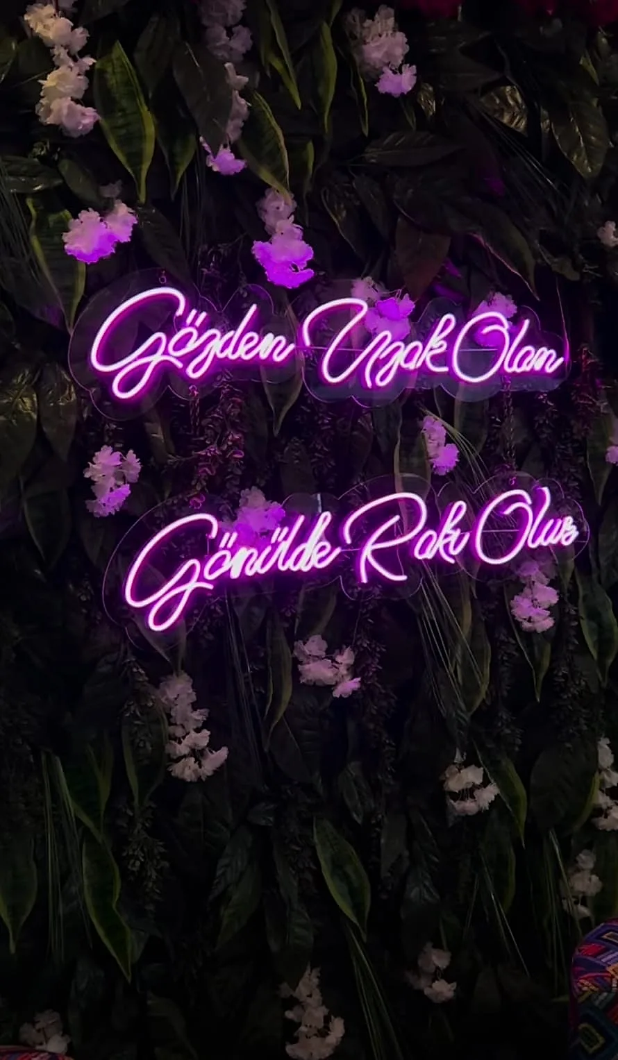 Neon.jpeg